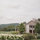 Pippin Hill Farm & Vineyards