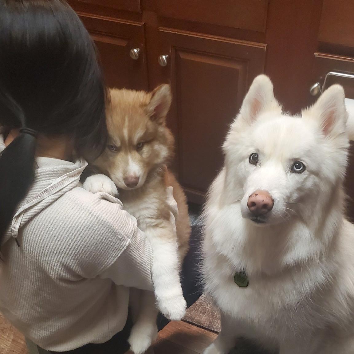 2021: Tobio enters the game.