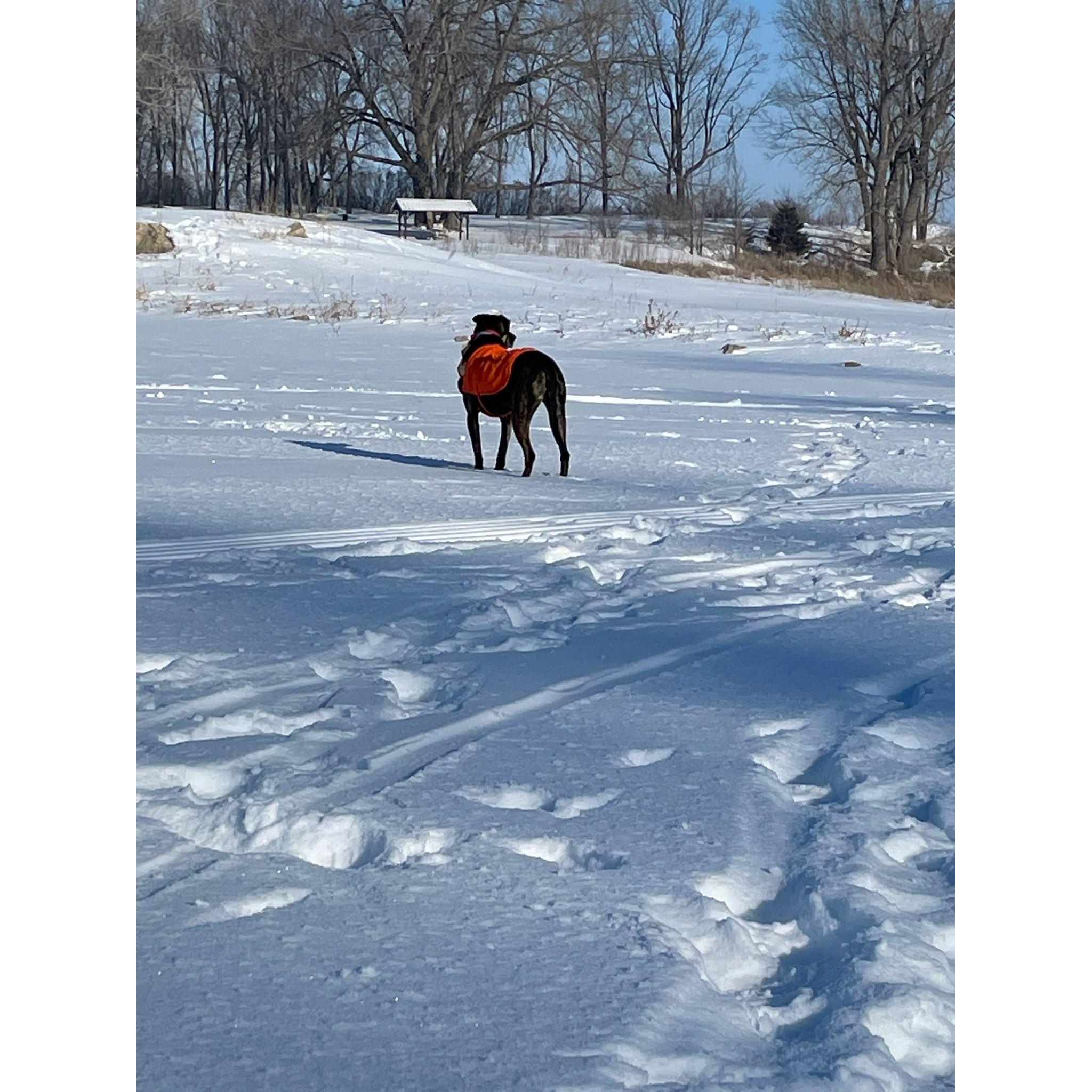 Lane has a new ice fishing buddy and it's NOT Catie. I have agreed to the occasional ice fishing adventure ... like 2 per decade.