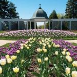 Botanical Gardens