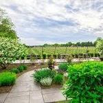 Crossing Vineyards and Winery
