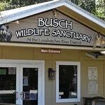 Busch Wildlife Sanctuary