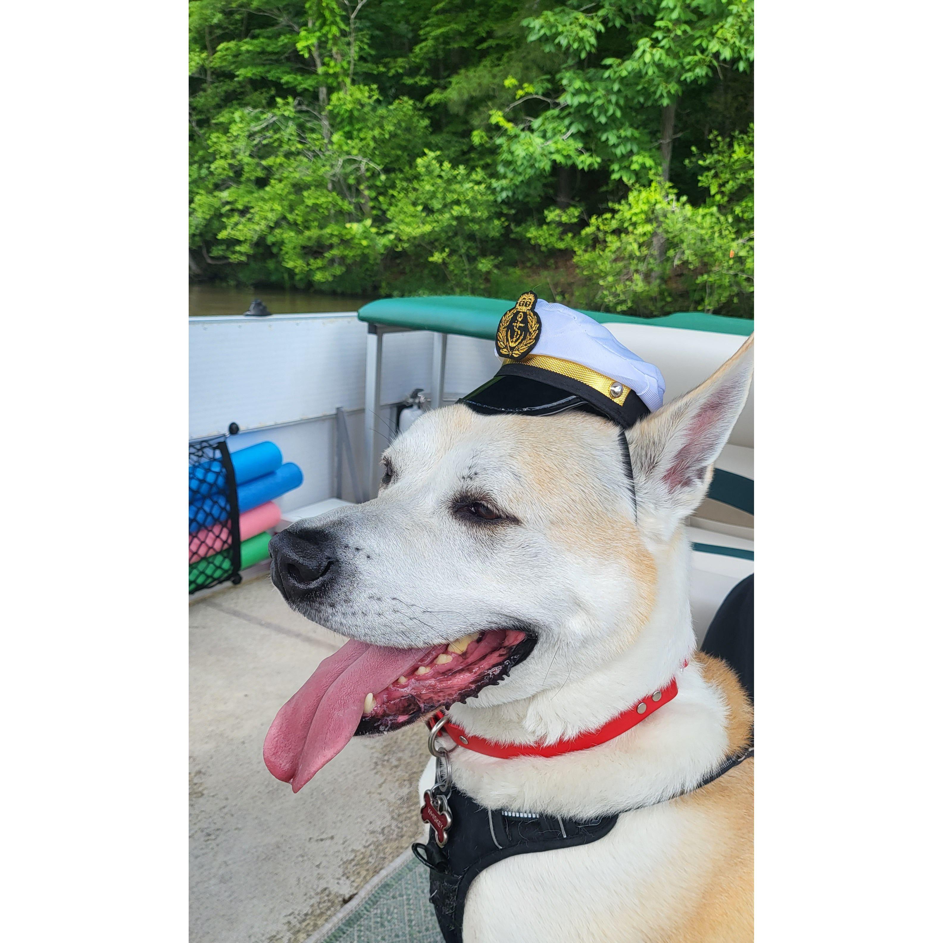 Whiskey likes boats too lol