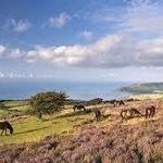 Exmoor National Park