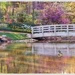 Edith J. Carrier Arboretum