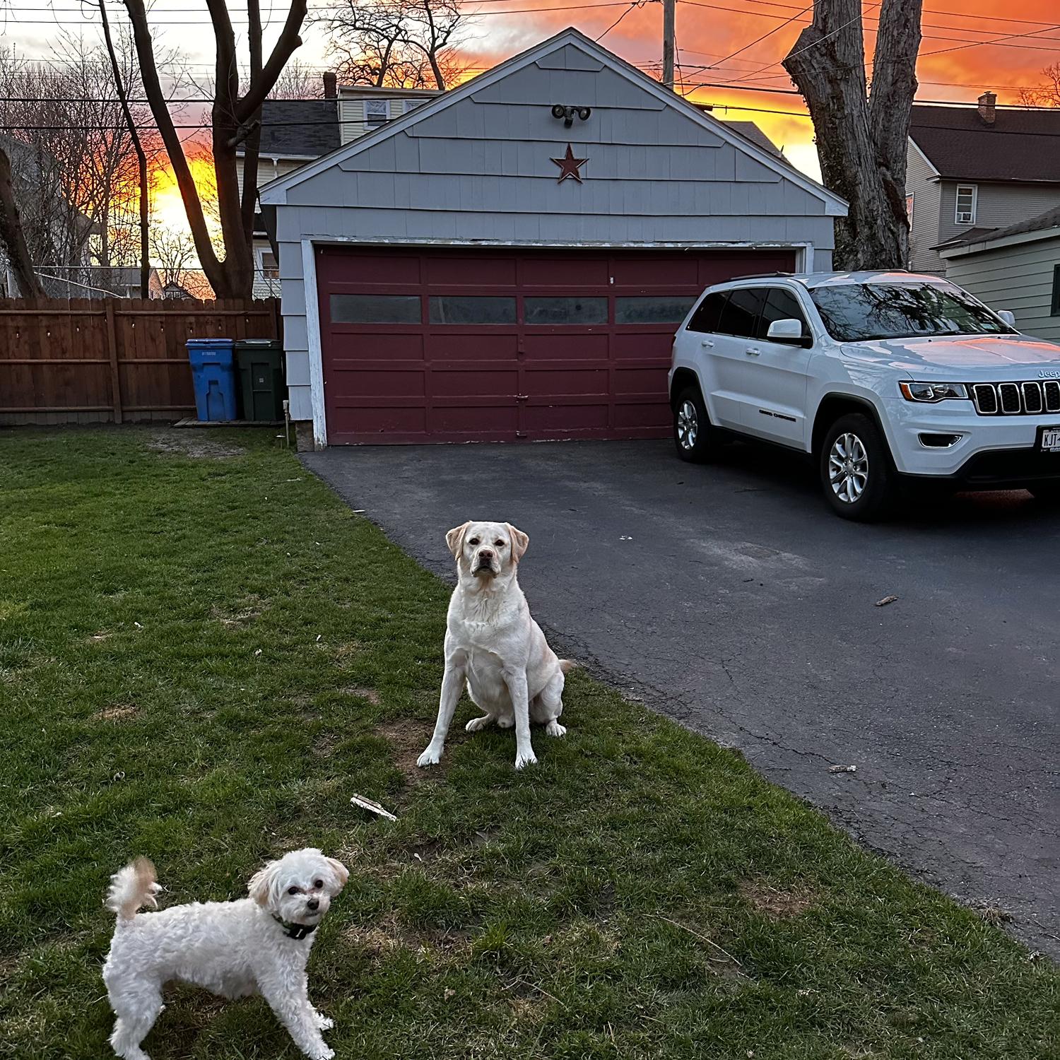 Best buds