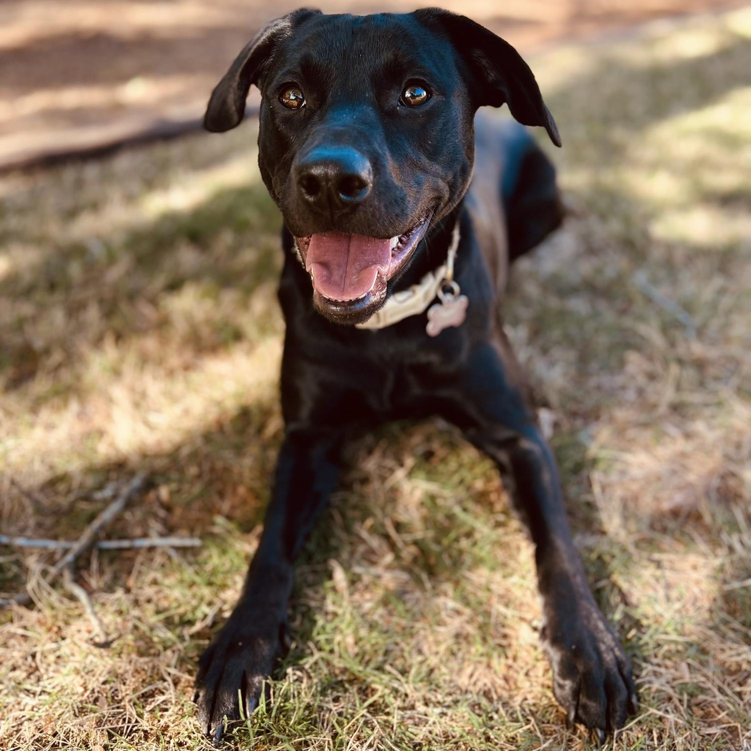 Our sweet Kleo!