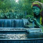 Atlanta Botanical Garden