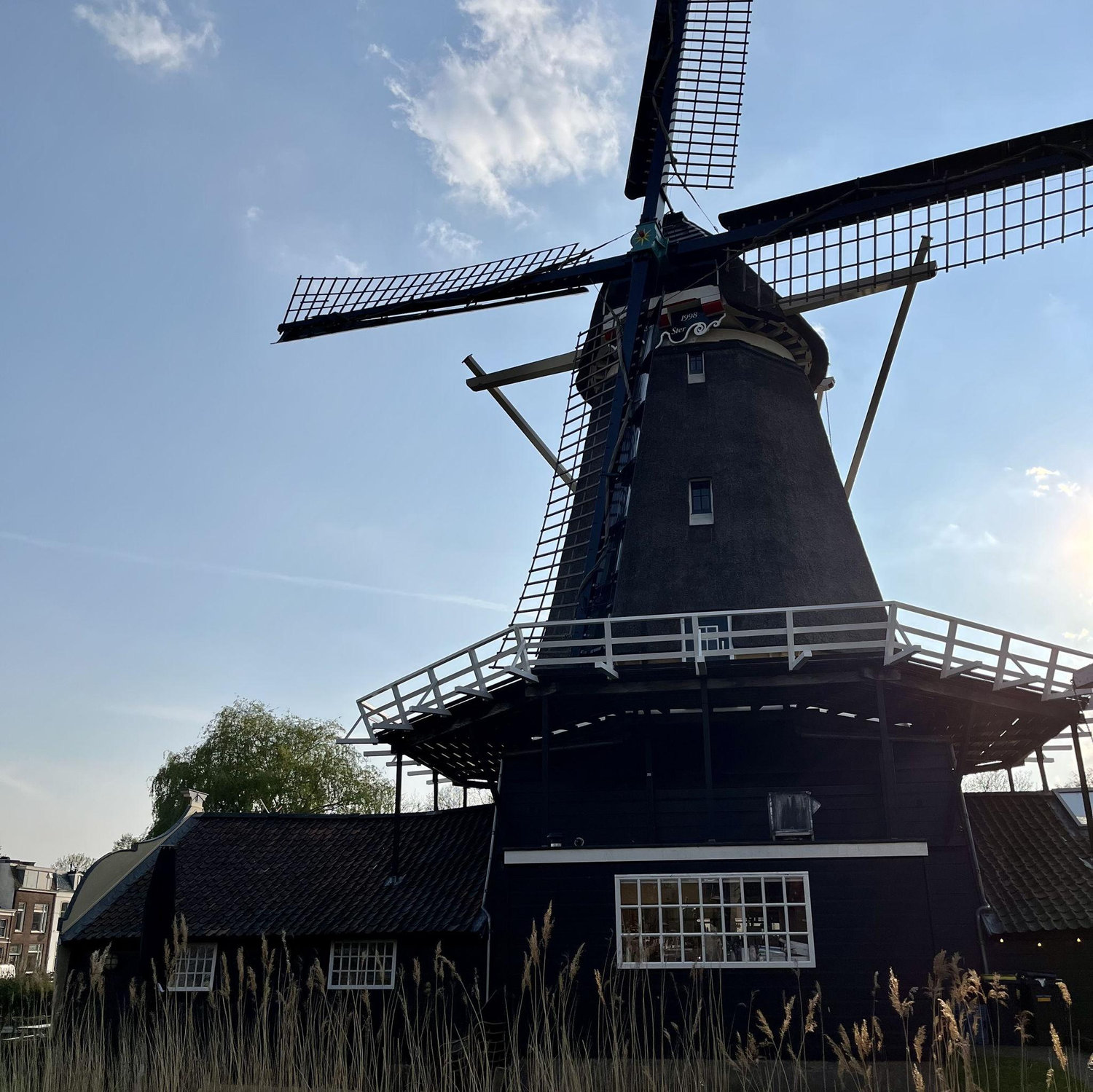 Strolls through the new neighborhood - April 2022