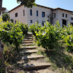 Lefkaditiki Gi Winery