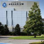 Virginia Aquarium & Marine Science Center