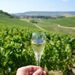Take a Day Trip to Champagne