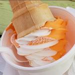 Custard Hut and Pizza