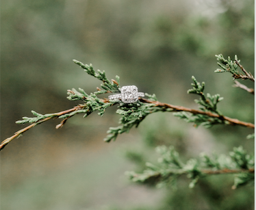 The Wedding Website of Samantha Costello and Justin Schwennen