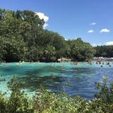 Silver Glen Springs