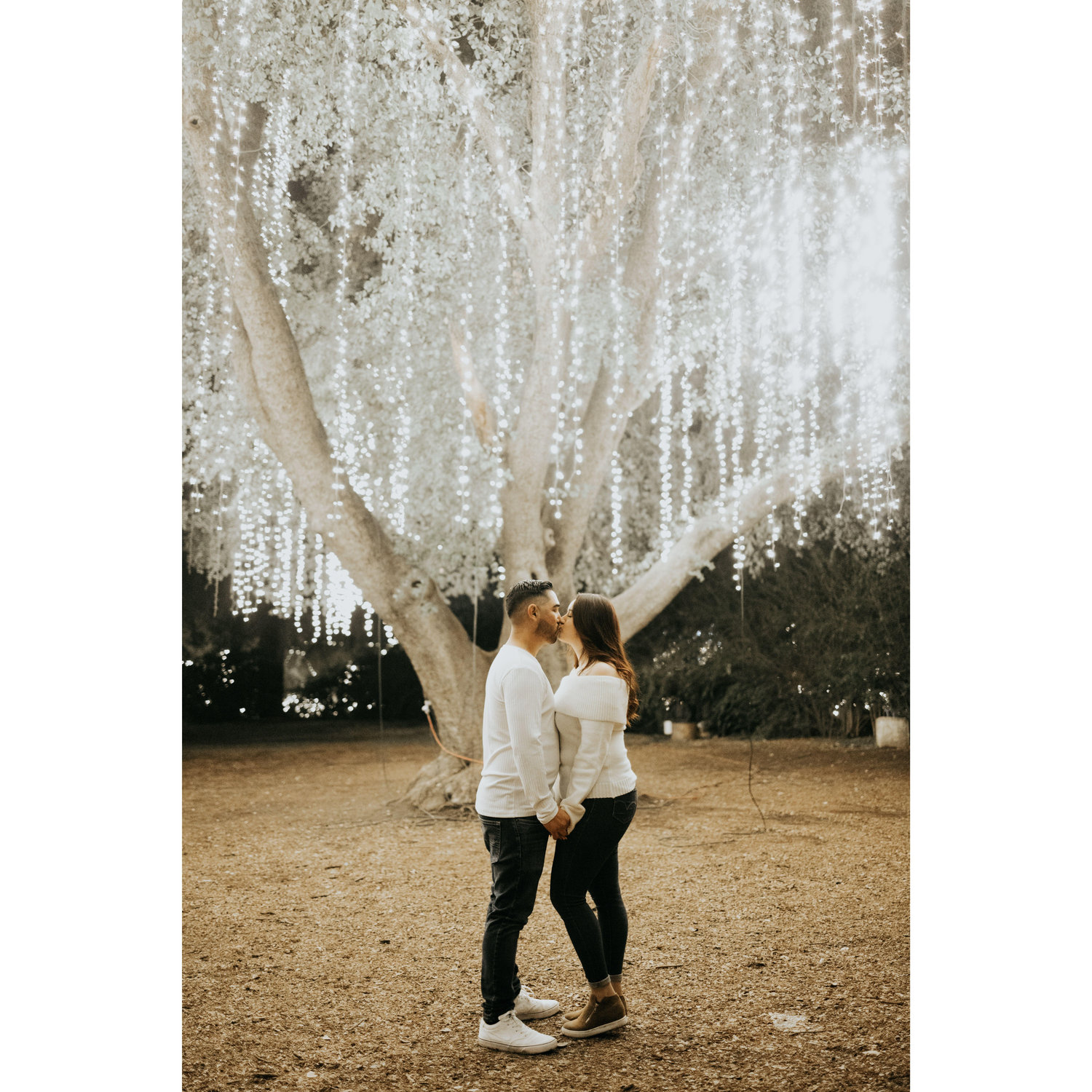 Love is like a tree, large enough to reach the heavens and deep enough to hug the earth.