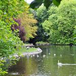 St Stephen's Green