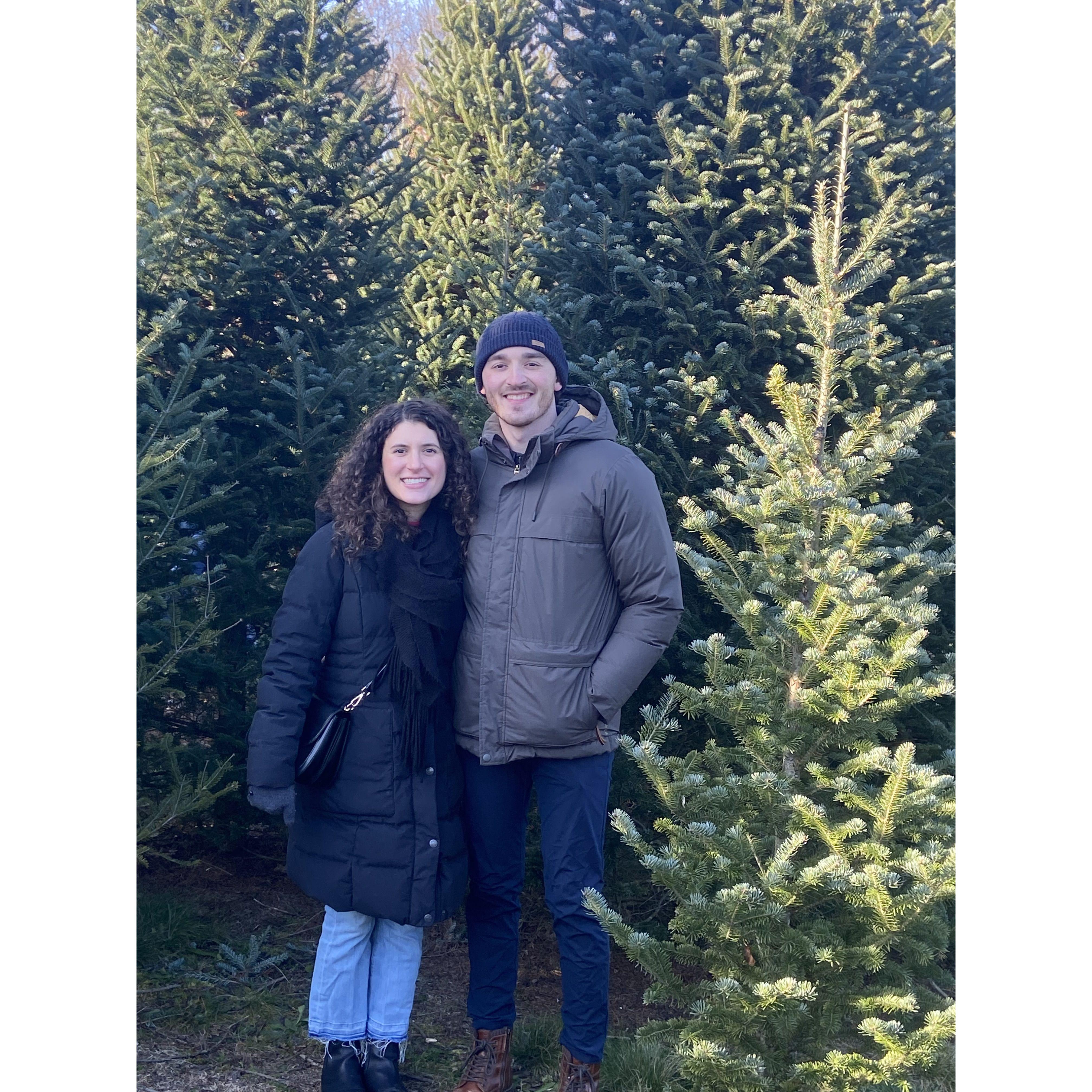Tree chopping 2023- Elizabeth thought this was the engagement... it was a week later!