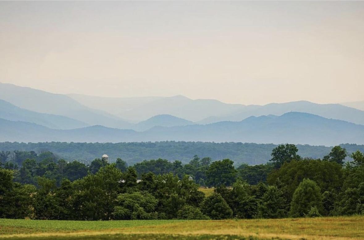 The Wedding Website of Ashley Long and Sawyer Michelitch