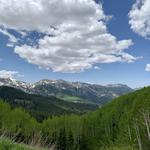 Guardsman Pass Drive
