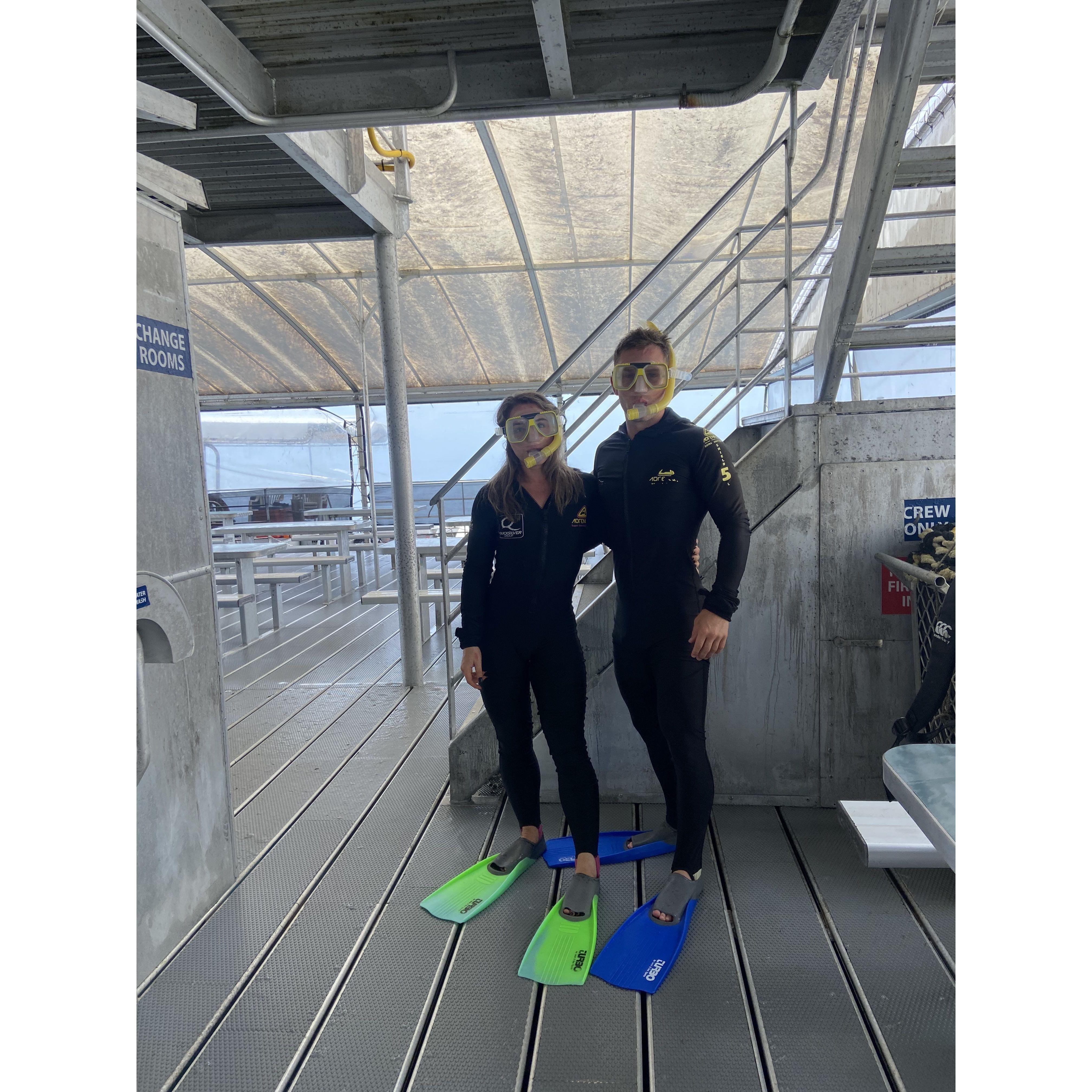 Snorkelling the Great Barrier Reef