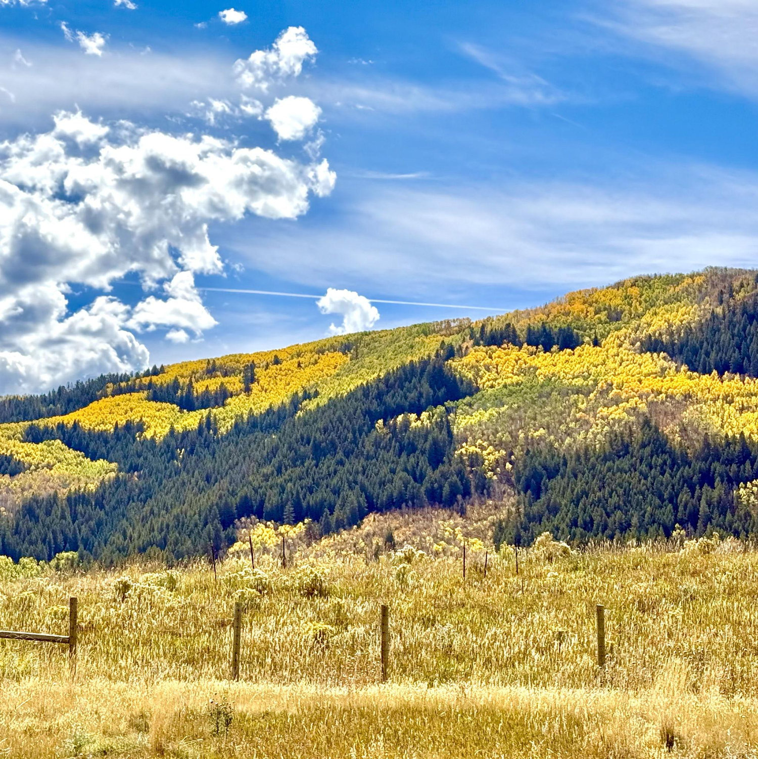 Colorado in the fall!