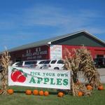 B.J. Reece Orchards