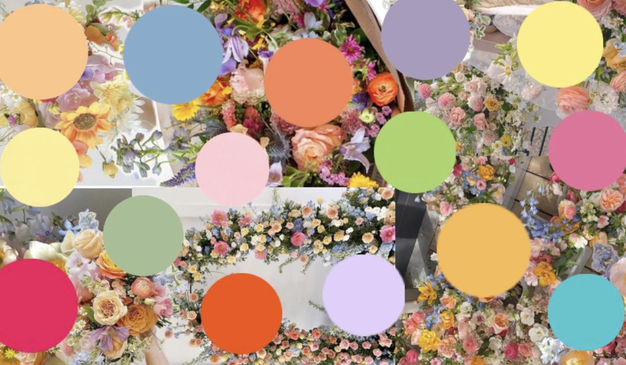 The Wedding Website of Haley Marie Stillwell and Joshua Thomas Duncan
