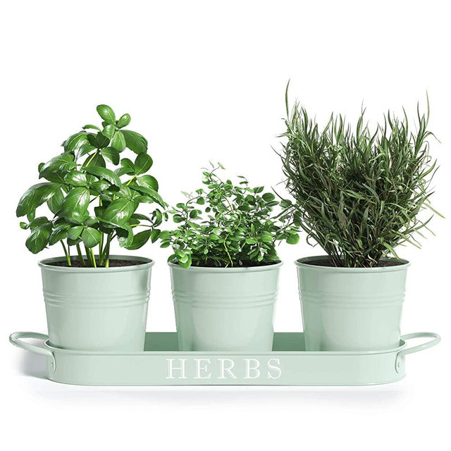 Barnyard Designs Herb Pot Planter Set with Tray for Indoor Garden or Outdoor Use, Soft Mint Metal Succulent Potted Planters for Kitchen Windowsill, (Set of 3, 4.25” x 4” Planters on 12.5” x 4" Tray)