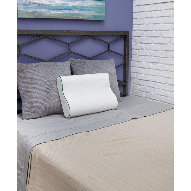 BioPEDIC Fresh and Clean Classic Contour Memory Foam Pillow with Ultra-Fresh Treated Fabric, Standard