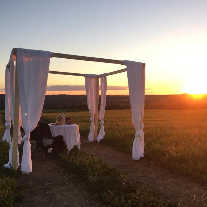 This is where Caleb proposed. He had a lovely picnic all set up in this gorgeous field. The sun was setting just as he popped the question. In Caleb's words, "It was a Nicholas Spark movie moment."