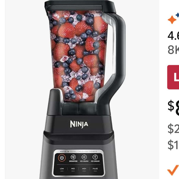 Ninja - Professional Plus Blender with Auto-iQ - Gray