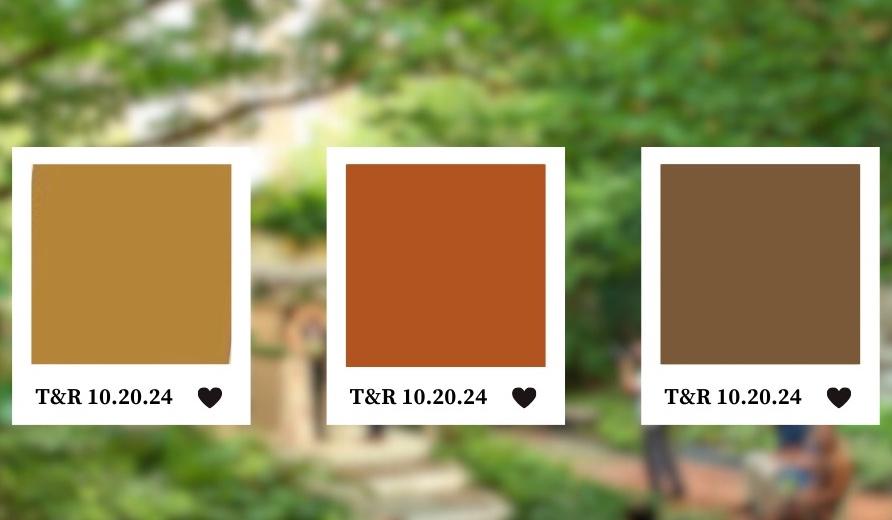 The Wedding Website of Tajae Coates and Rhavyn Vines