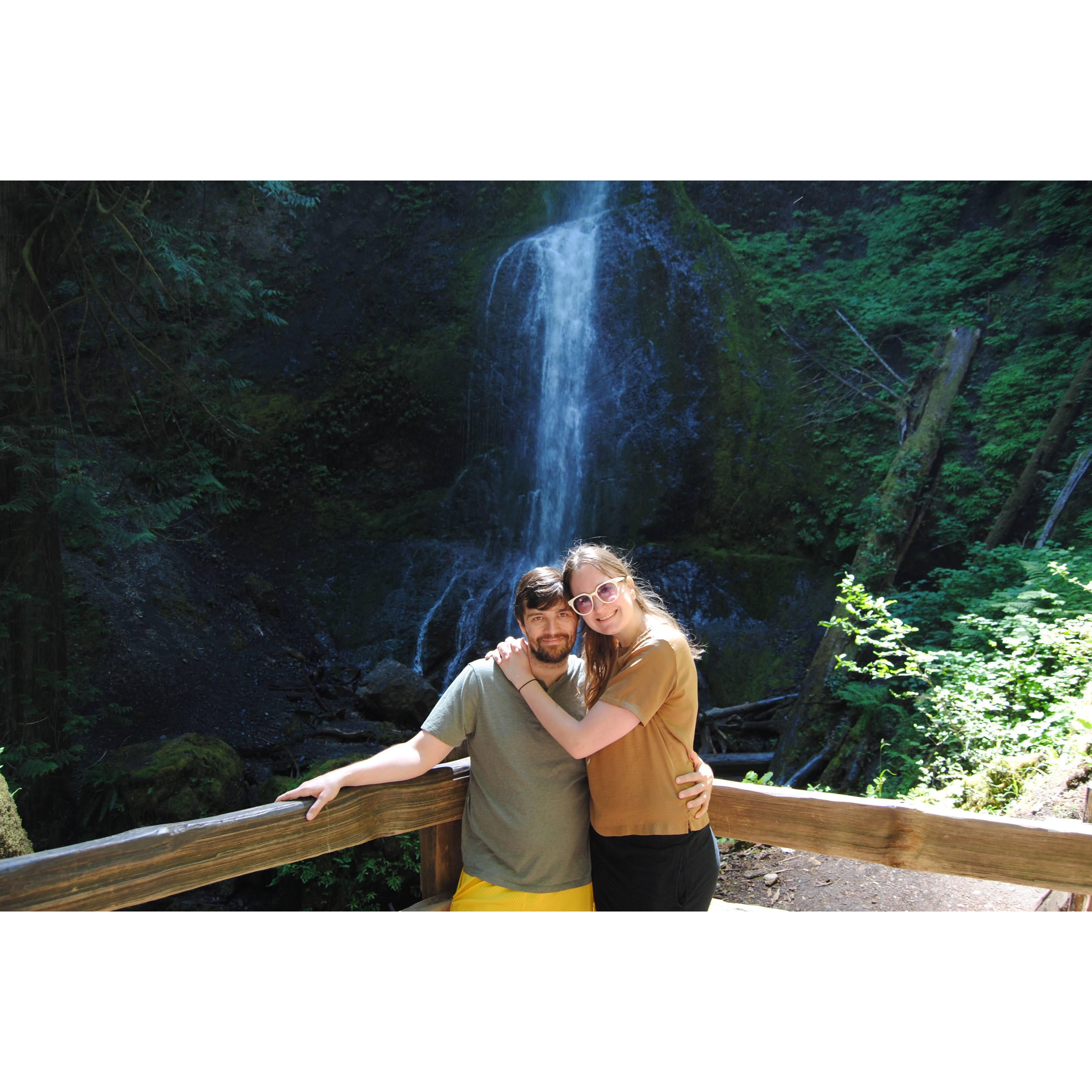 Olympic National Forest