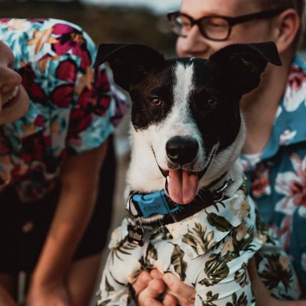 We became dog parents and yes, we had a photo shoot with Walter!