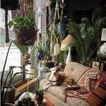 Dobbin Street Vintage Co-op (Shop)