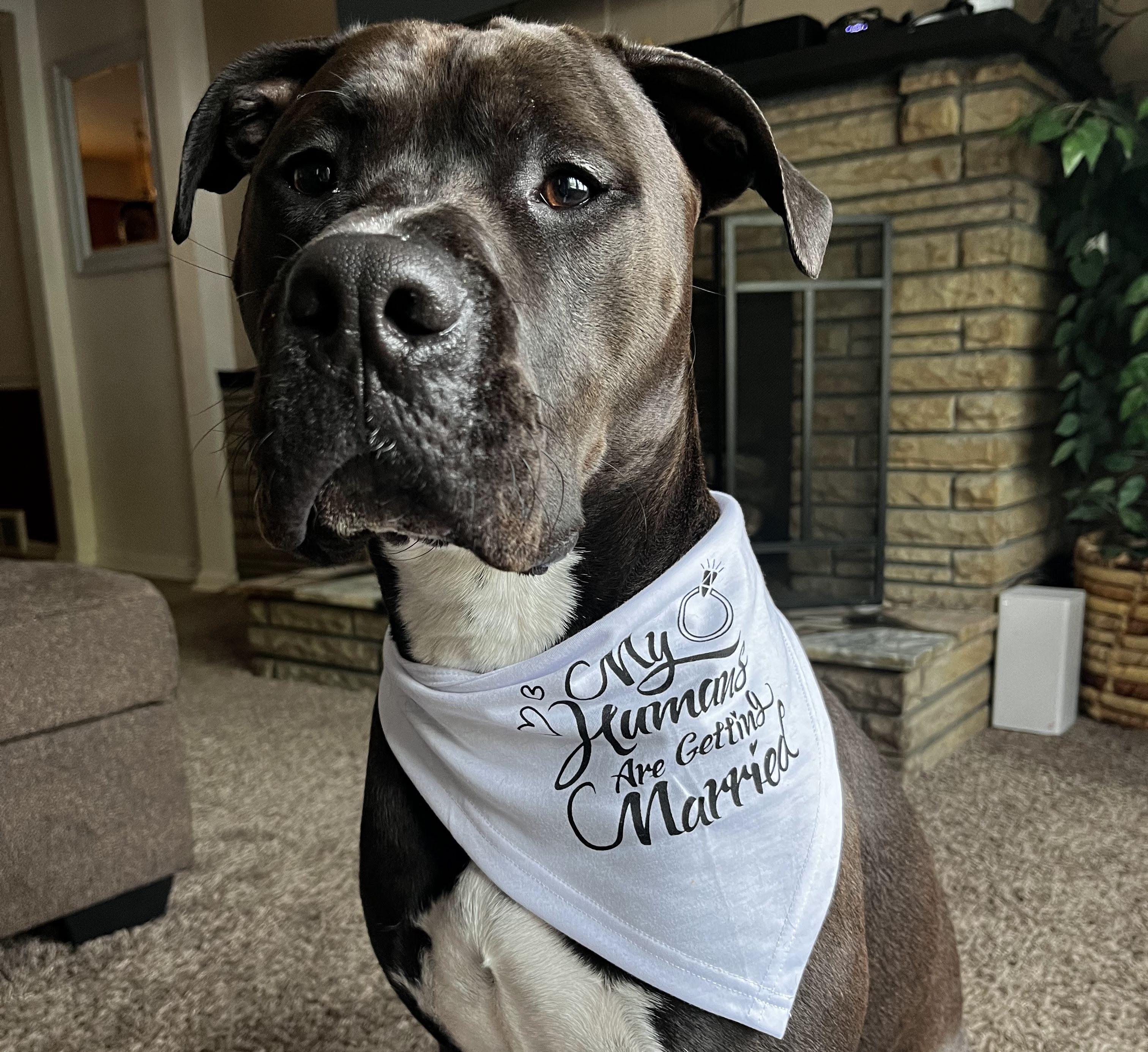 The Wedding Website of Marissa Marino and Anthony Achille