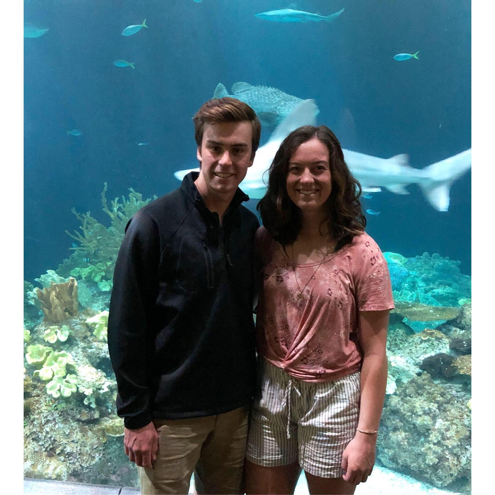 Thomas took us to the Shedd Aquarium for our 2nd anniversary! 2019