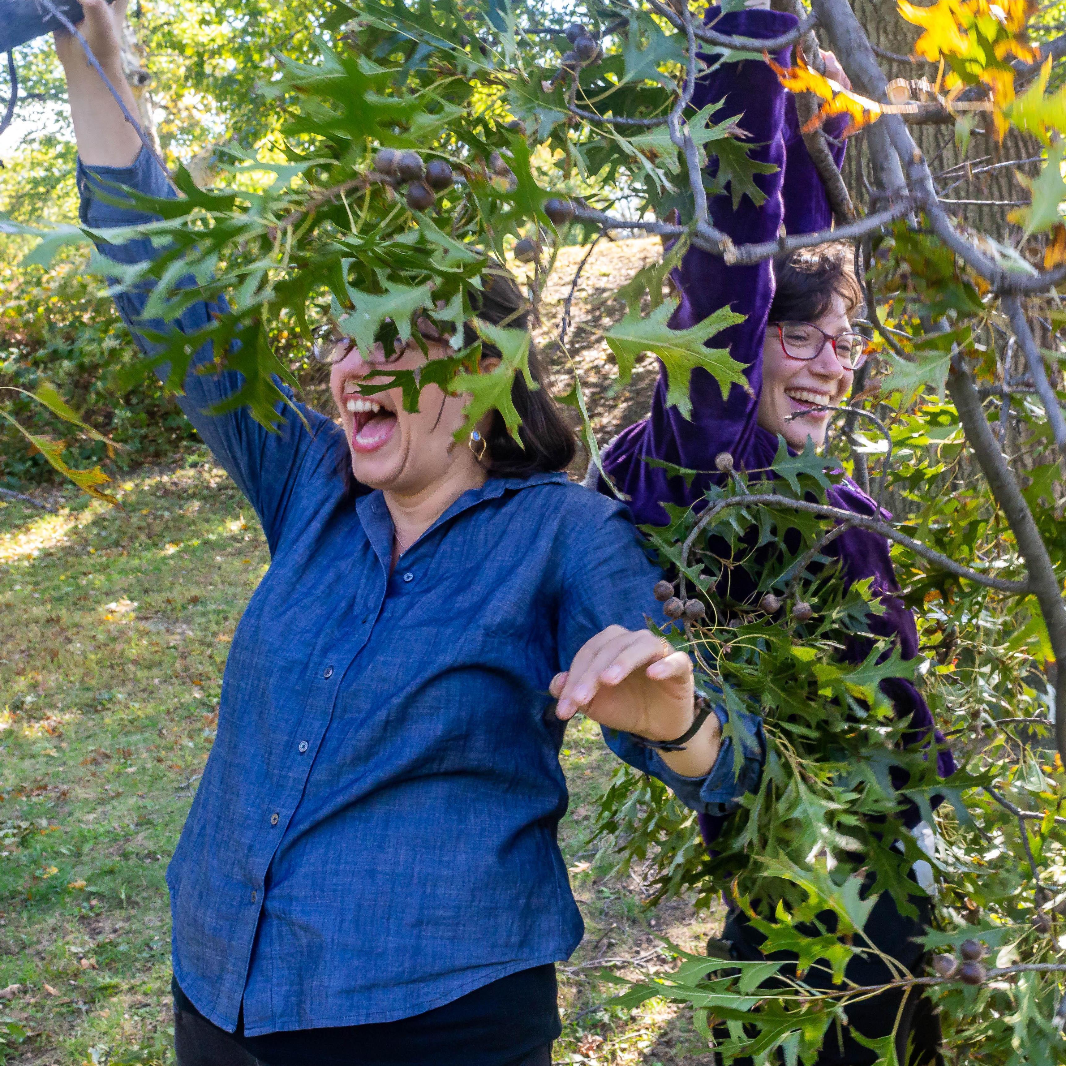 The best thing to do with a fallen branch is pick it up and swing it around.  Obviously.