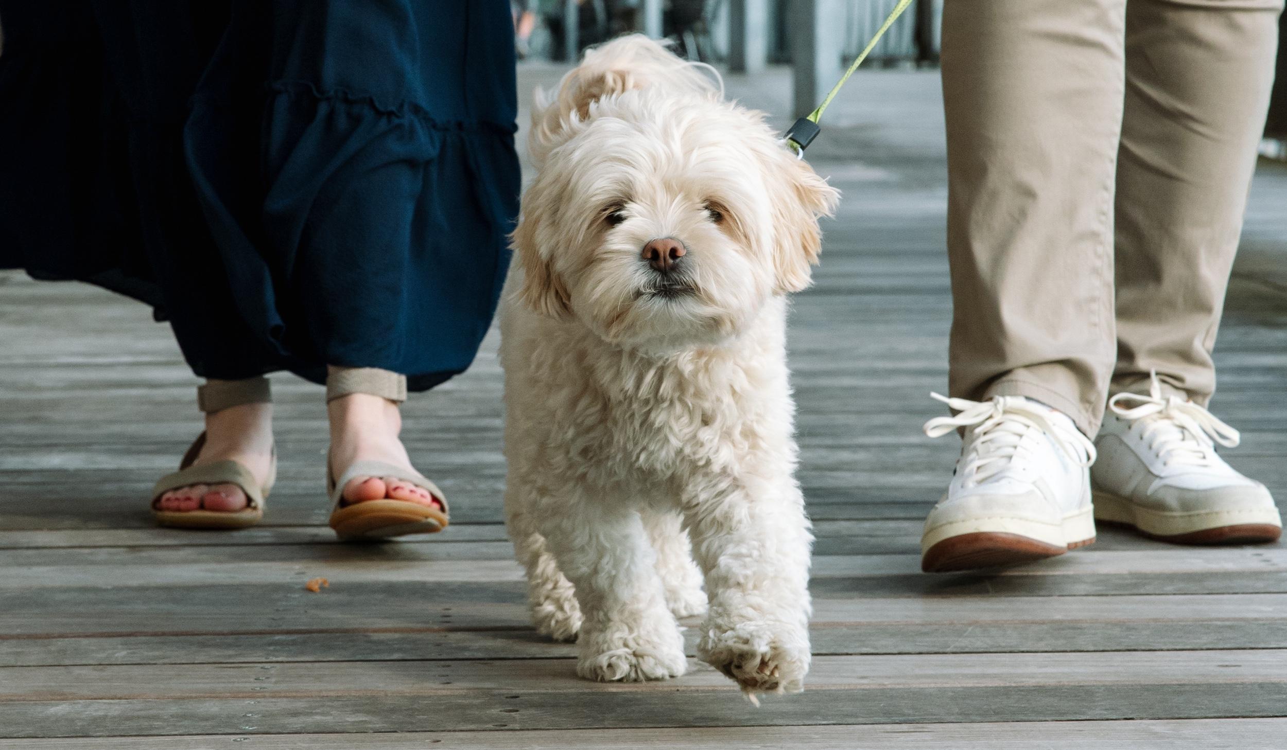 Hero Slideshow Image 4