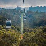 Ride the Metrocable to Parque Arví