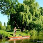 Grantchester Meadows