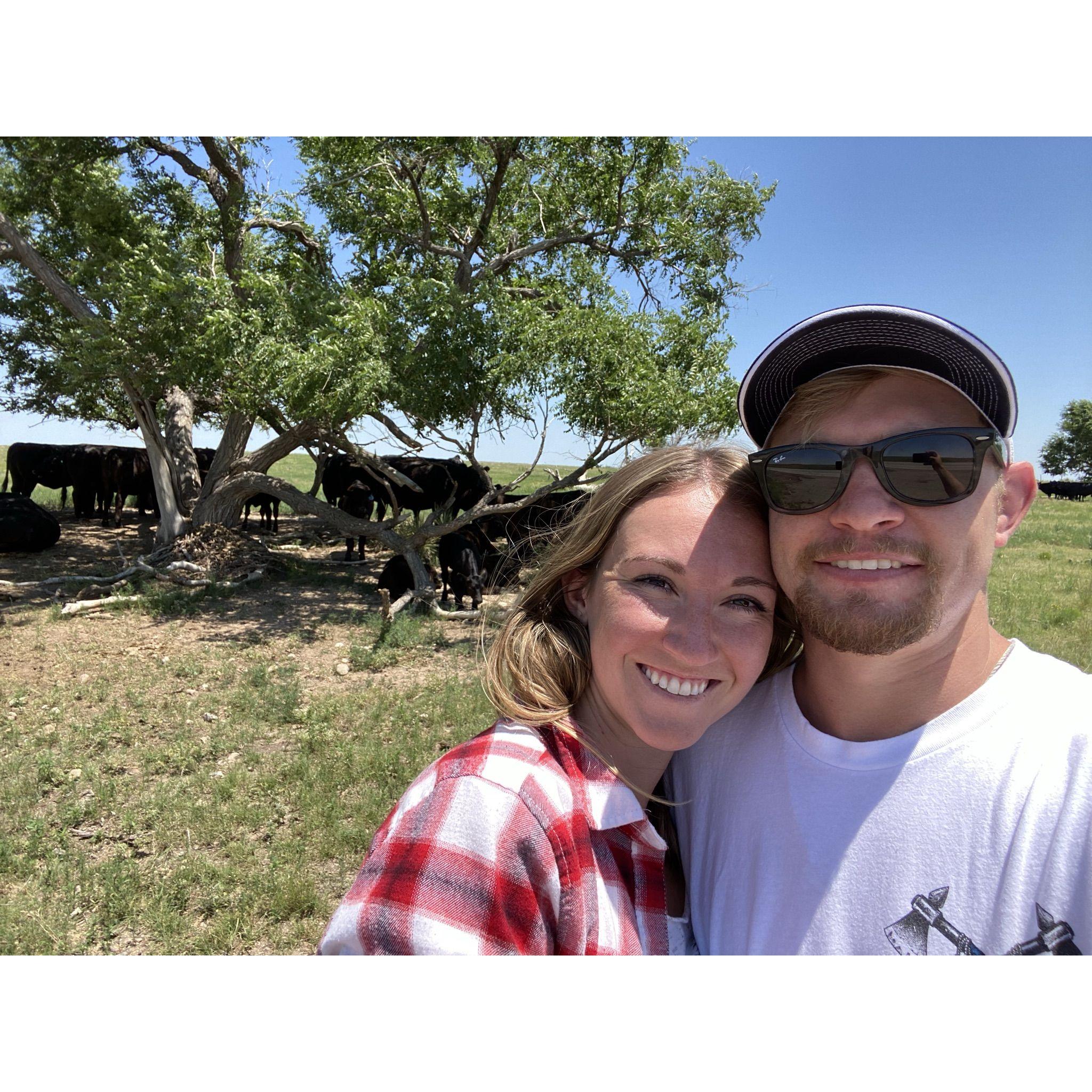 Jen made Dax stop to take a picture with the cows on the CO border.