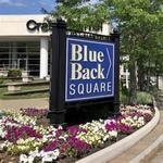 Blue Back Square