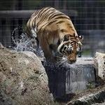 Carson Springs Wildlife Conservation Foundation