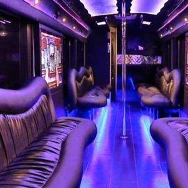 Wedding Party Bus