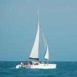 Daytripper Catamaran Tours