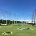 Top golf