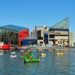 Baltimore's National Aquarium