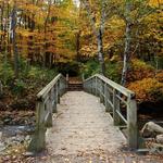 Petrifying Springs Park